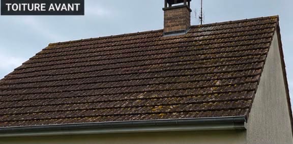 Toiture envahie par les mousses et les lichens avant démoussage